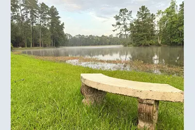 Tbd Beech Drive, Montgomery, TX 77316 - Photo 10