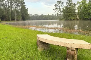 Tbd Beech Dr, Montgomery, TX 77316 - Photo 10