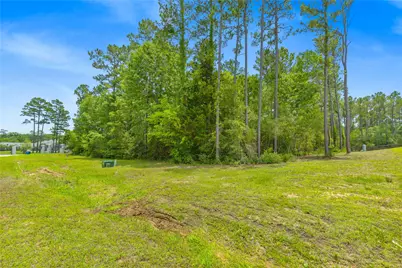 Tbd 5.35Ac Lot Spring Branch Road, Montgomery, TX 77316 - Photo 14