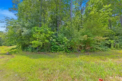 Tbd 5.35Ac Lot Spring Branch Road, Montgomery, TX 77316 - Photo 12