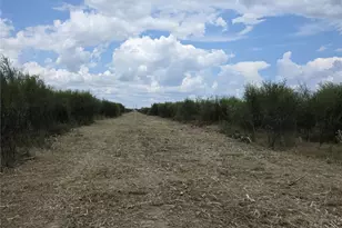 36847 Richard Frey 2-6 Rd, Hempstead, TX 77445 - Photo 4