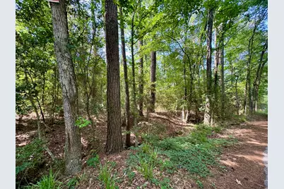 Tbd Crockett Road, Willis, TX 77378 - Photo 8