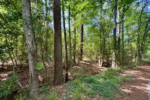 Tbd Crockett Rd, Willis, TX 77378 - Photo 8