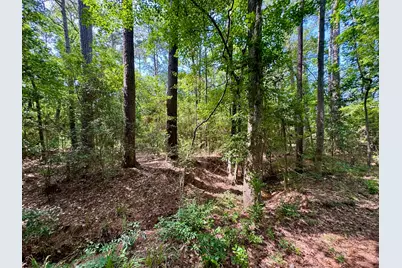 Tbd Crockett Road, Willis, TX 77378 - Photo 10