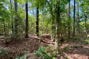 Tbd Crockett Rd, Willis, TX 77378 - Photo 10