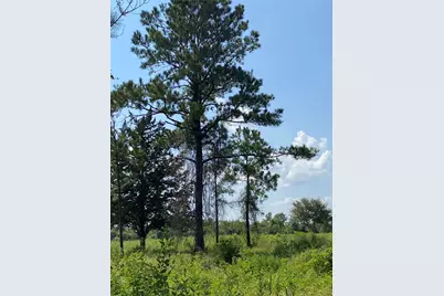 6115 S Highway 35, Alvin, TX 77511 - Photo 40