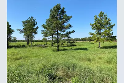 6115 S Highway 35, Alvin, TX 77511 - Photo 12