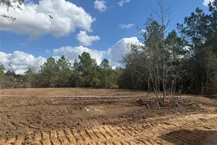 26751 Alderbrook Ave, Montgomery, TX 77316 - Photo 6