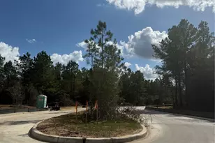 26751 Alderbrook Ave, Montgomery, TX 77316 - Photo 4