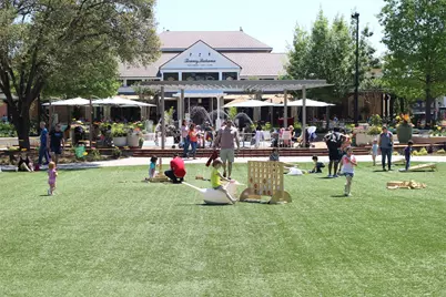 79 S Burberry Park Circle, The Woodlands, TX 77382 - Photo 24
