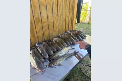 11974 N Ridgeway Drive, Willis, TX 77318 - Photo 26