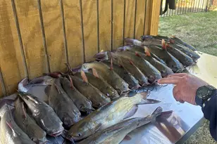 11974 N Ridgeway Dr, Willis, TX 77318 - Photo 26