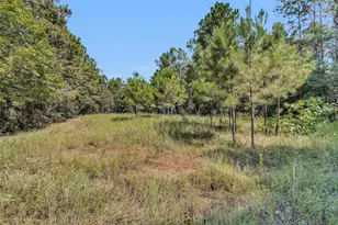 17008 E Fm 1097 Rd, Willis, TX 77378 - Photo 12