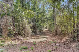 17008 E Fm 1097 Rd, Willis, TX 77378 - Photo 4