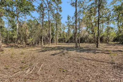 17008 E Fm 1097 Road, Willis, TX 77378 - Photo 8