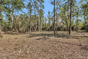 17008 E Fm 1097 Rd, Willis, TX 77378 - Photo 8