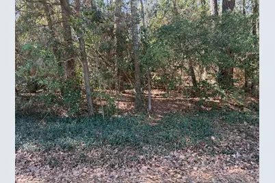 138 Paradise Valley Drive, Conroe, TX 77304 - Photo 2