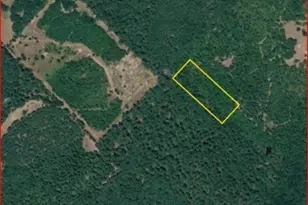 0 County Road 1655, Grapeland, TX 75835 - Photo 1
