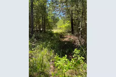 0 County Road 1655, Grapeland, TX 75835 - Photo 6