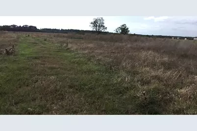 509 County Road 2285, Cleveland, TX 77327 - Photo 4
