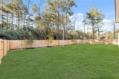 244 Warbler Song Drive, Willis, TX 77318 - Photo 22
