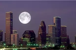 4615 University Oaks 1/2, Houston, TX 77004 - Photo 24