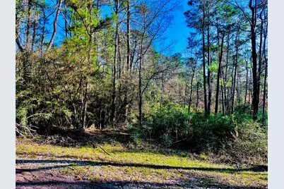 23 Wentworth Ln, Coldspring, TX 77331 - Photo 2