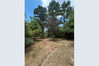 11919 Hickory Wood, Pinehurst, TX 77362 - Photo 6