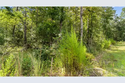 194 Exploration Road, Willis, TX 77378 - Photo 6