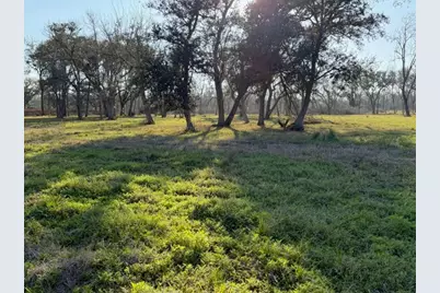 31810 Amberjack Drive, Richwood, TX 77515 - Photo 10