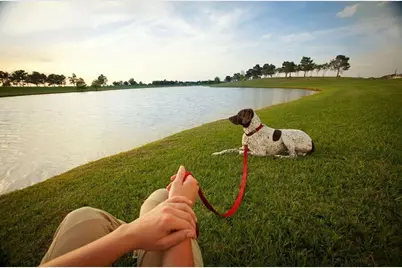 16918 Himley Drive, Cypress, TX 77433 - Photo 34