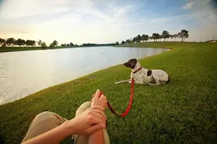 16918 Himley Dr, Cypress, TX 77433 - Photo 34