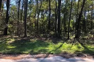 3330 Lakelane Dr, Houston, TX 77338 - Photo 4