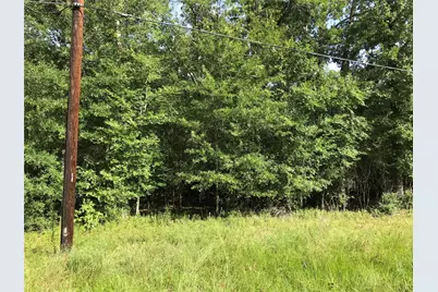Lot 193 Elmwood Drive, Livingston, TX 77351 - Photo 4