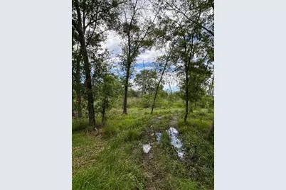 Tbd N Bonnie Lake Dr, Hempstead, TX 77445 - Photo 2