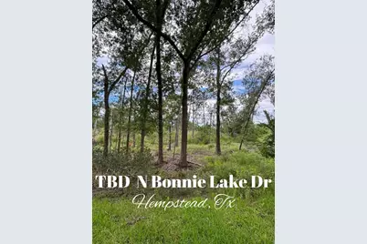 Tbd N Bonnie Lake Dr, Hempstead, TX 77445 - Photo 1