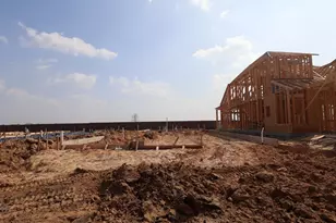 11634 Birdsong Dr, Missouri City, TX 77459 - Photo 4