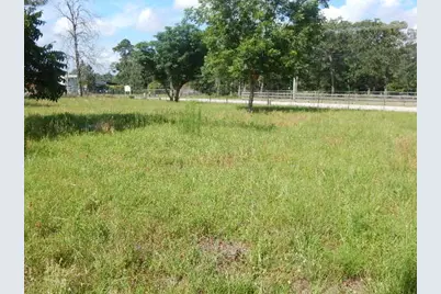 11636 Browder Traylor Road, Conroe, TX 77303 - Photo 12