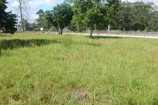 11636 Browder Traylor Rd, Conroe, TX 77303 - Photo 12
