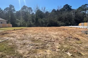 15307 Mountain Plover Pl, Magnolia, TX 77354 - Photo 2