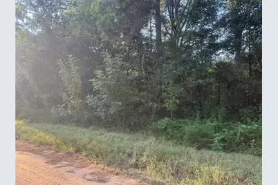 Tbd Richard St Street, Coldspring, TX 77331 - Photo 1