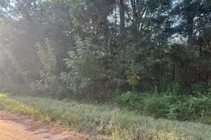 Tbd Richard St St, Coldspring, TX 77331 - Photo 1