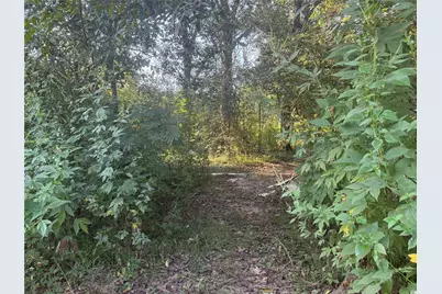 Tbd Richard St Street, Coldspring, TX 77331 - Photo 2