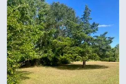 801 Camilla Lake Road, Coldspring, TX 77331 - Photo 14