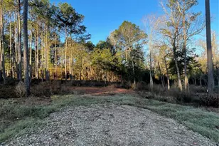 11345 Annie Creek Dr, Willis, TX 77378 - Photo 4