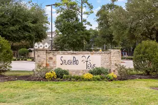 29907 Adobe Falls Dr, Spring, TX 77386 - Photo 34