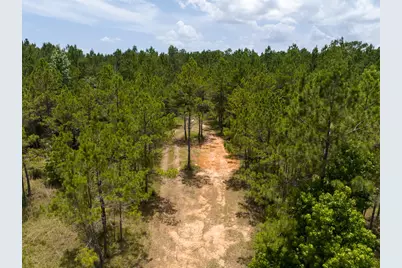 04 Benny Griffin Road, Livingston, TX 77351 - Photo 10