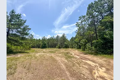04 Benny Griffin Road, Livingston, TX 77351 - Photo 40