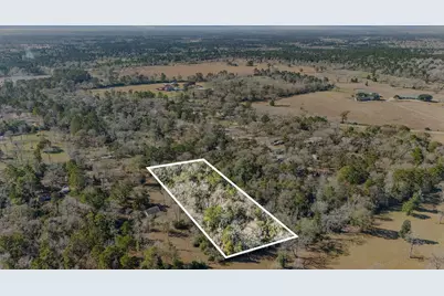 15685 McKay Road, Willis, TX 77378 - Photo 20