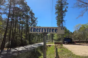 2 Cherry Tree Ln, Plantersville, TX 77363 - Photo 1